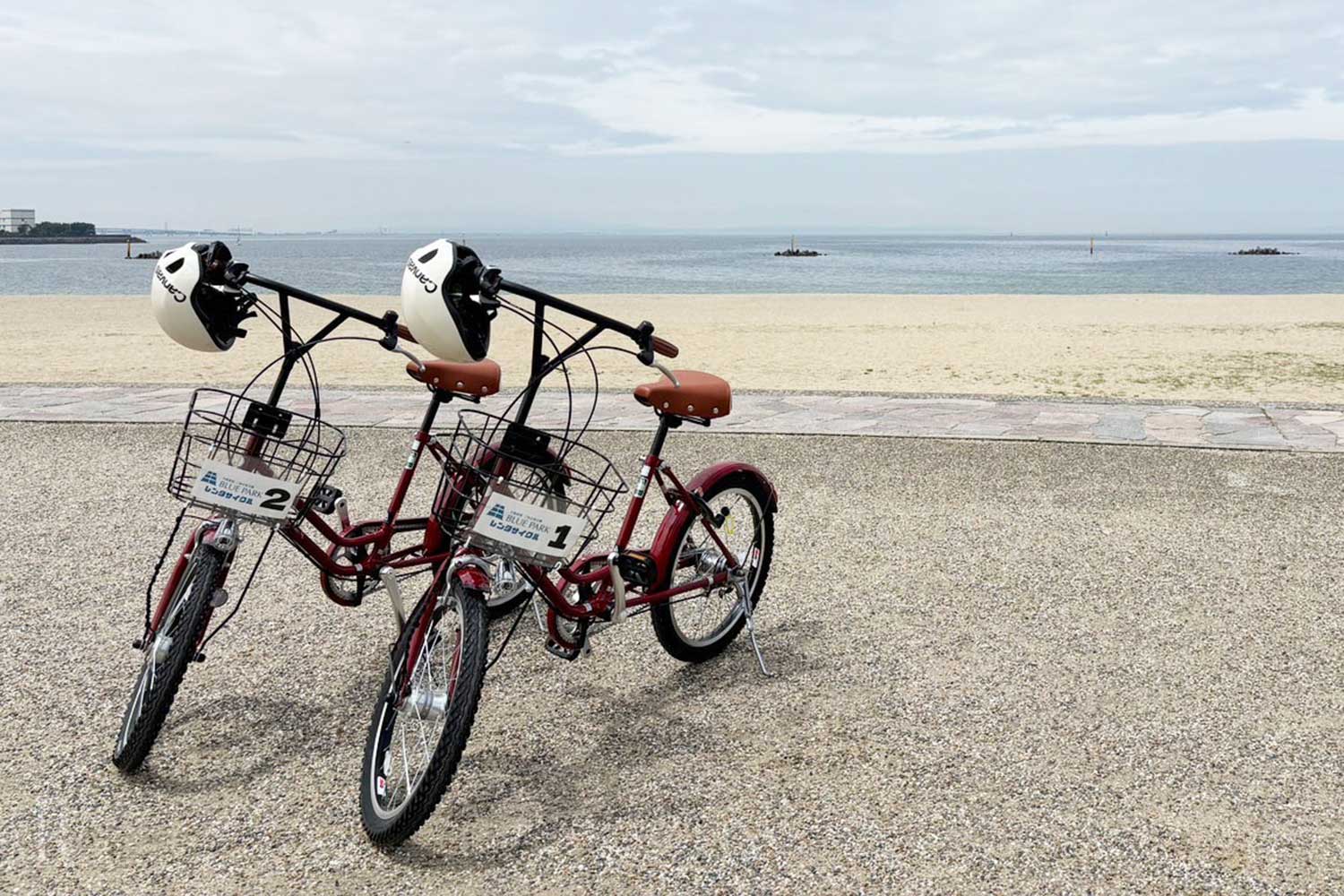 登記入住 (Check-in)