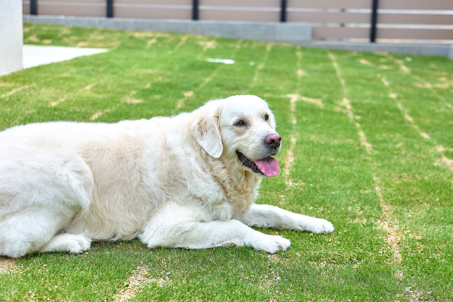 登記入住 (Check-in)